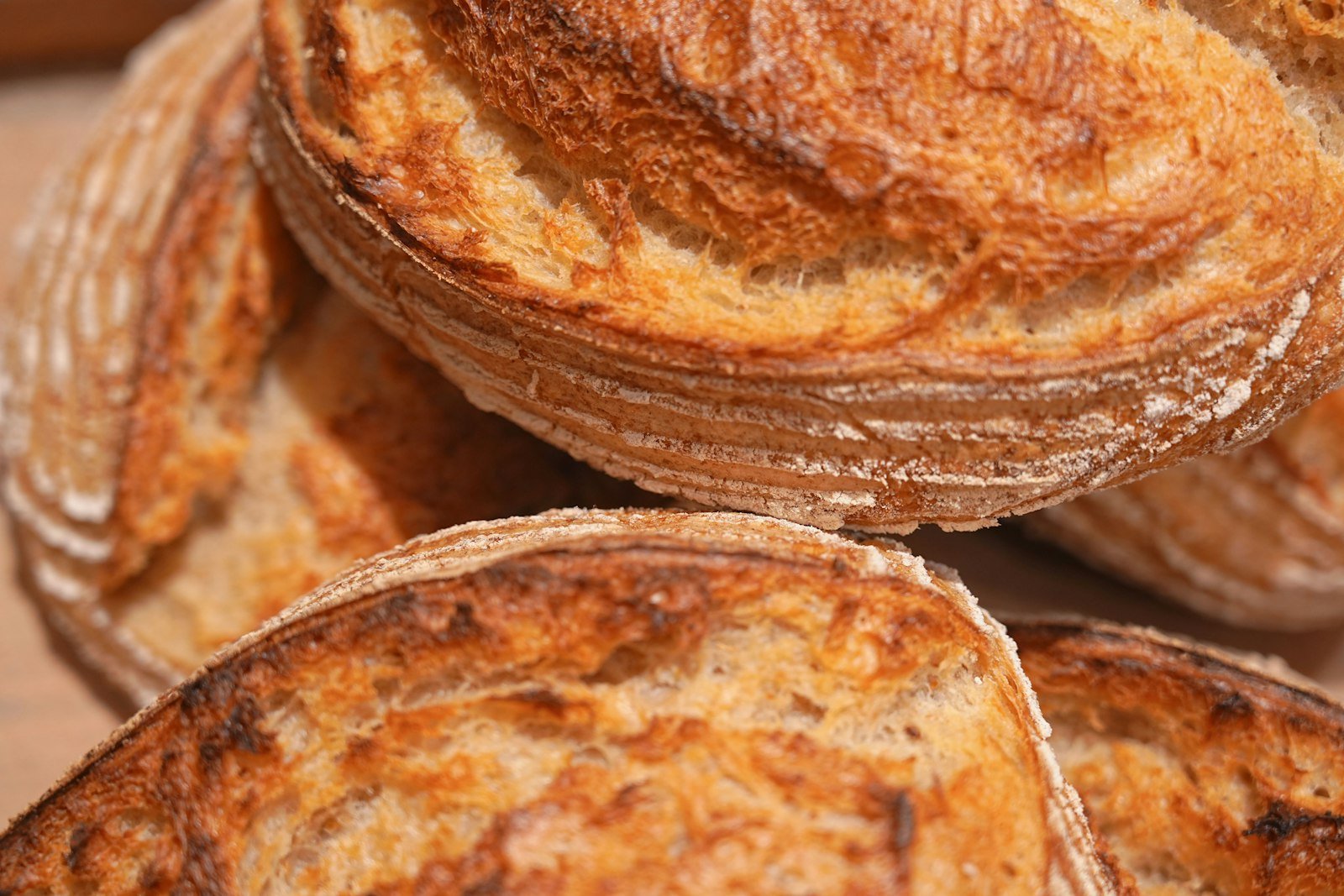 Close up of freshly baked artisan bread crust